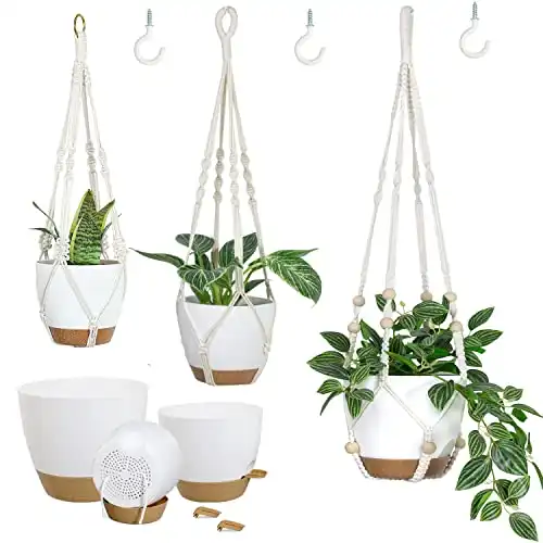 Macrame Plant Hangers